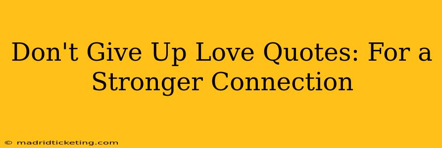 Don't Give Up Love Quotes: For a Stronger Connection
