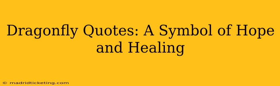 Dragonfly Quotes: A Symbol of Hope and Healing