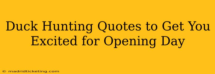 Duck Hunting Quotes to Get You Excited for Opening Day