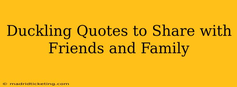 Duckling Quotes to Share with Friends and Family