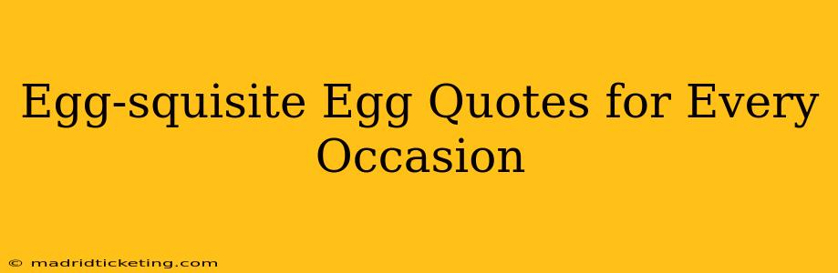 Egg-squisite Egg Quotes for Every Occasion