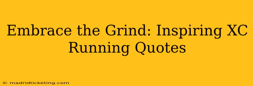 Embrace the Grind: Inspiring XC Running Quotes