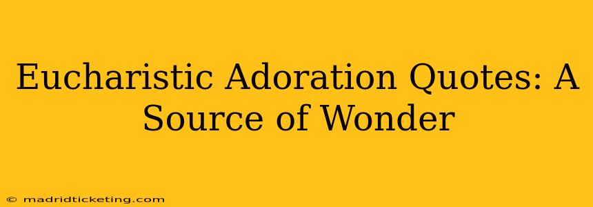 Eucharistic Adoration Quotes: A Source of Wonder