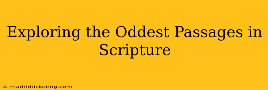 Exploring the Oddest Passages in Scripture