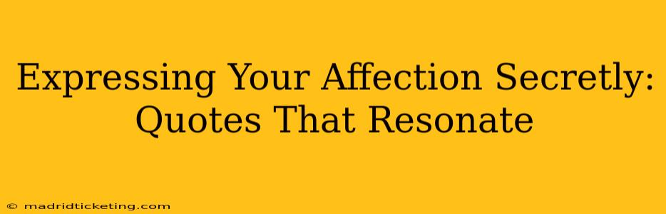 Expressing Your Affection Secretly: Quotes That Resonate