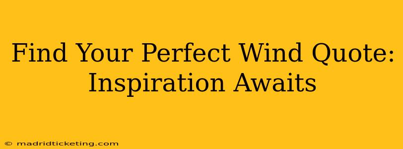 Find Your Perfect Wind Quote: Inspiration Awaits