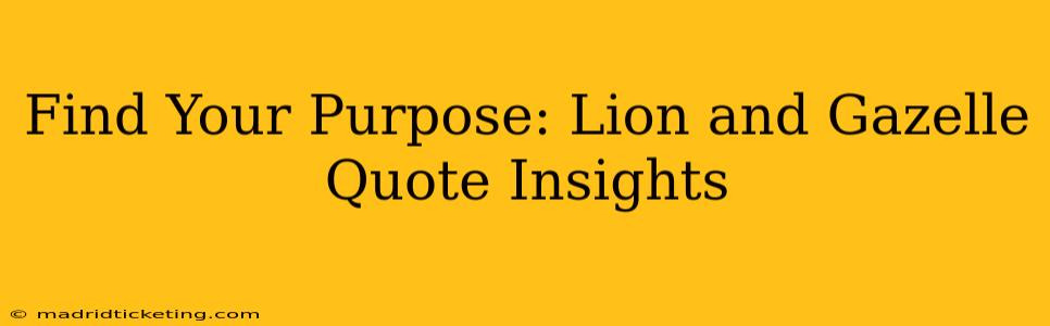Find Your Purpose: Lion and Gazelle Quote Insights
