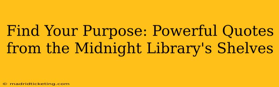 Find Your Purpose: Powerful Quotes from the Midnight Library's Shelves