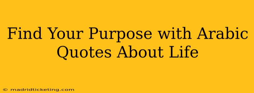 Find Your Purpose with Arabic Quotes About Life