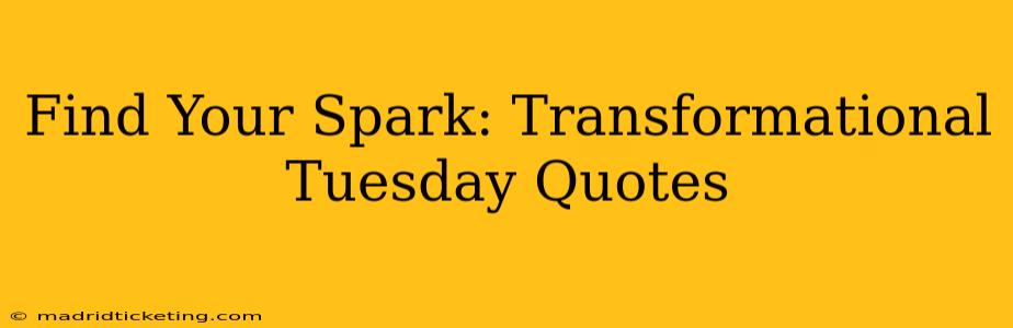 Find Your Spark: Transformational Tuesday Quotes