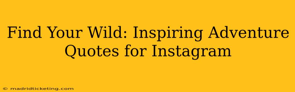 Find Your Wild: Inspiring Adventure Quotes for Instagram