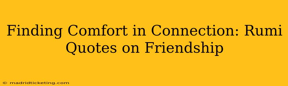 Finding Comfort in Connection: Rumi Quotes on Friendship