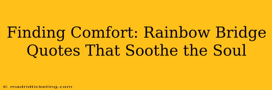 Finding Comfort: Rainbow Bridge Quotes That Soothe the Soul