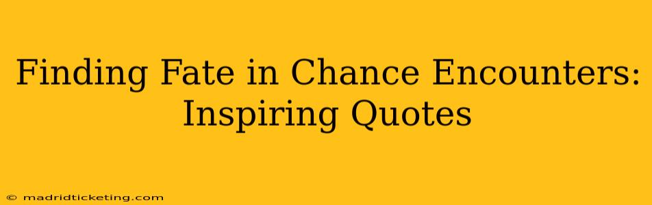 Finding Fate in Chance Encounters: Inspiring Quotes