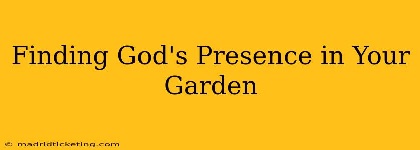 Finding God's Presence in Your Garden