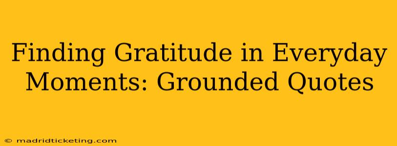 Finding Gratitude in Everyday Moments: Grounded Quotes