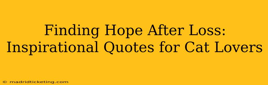 Finding Hope After Loss: Inspirational Quotes for Cat Lovers