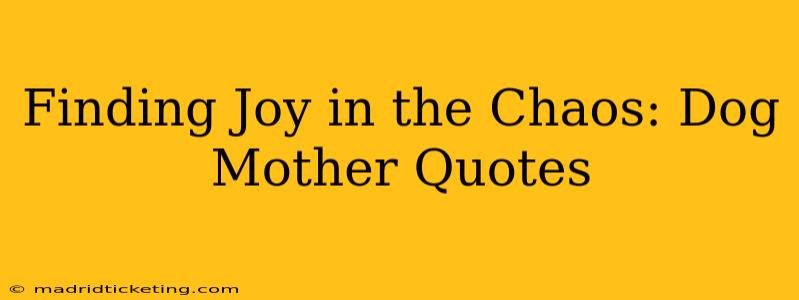 Finding Joy in the Chaos: Dog Mother Quotes