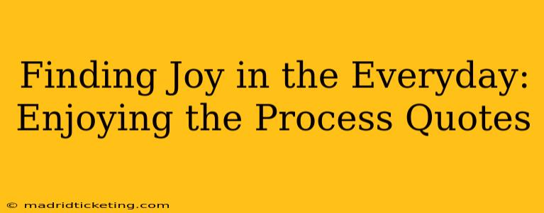 Finding Joy in the Everyday: Enjoying the Process Quotes