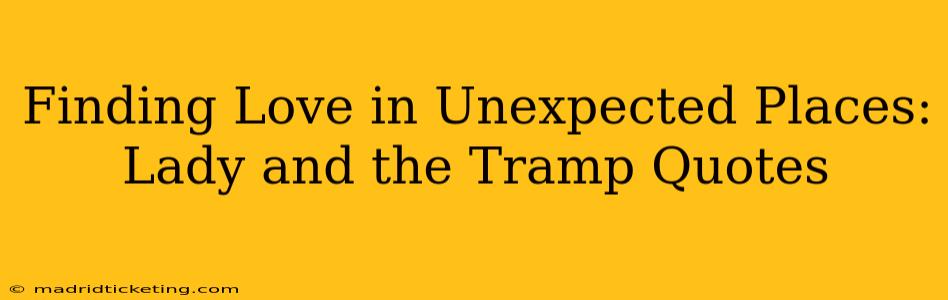 Finding Love in Unexpected Places: Lady and the Tramp Quotes
