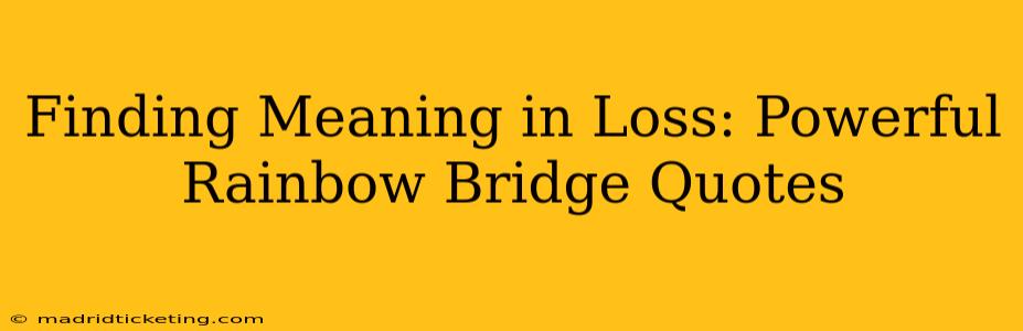 Finding Meaning in Loss: Powerful Rainbow Bridge Quotes