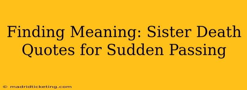 Finding Meaning: Sister Death Quotes for Sudden Passing