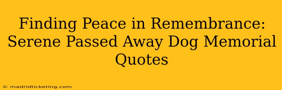 Finding Peace in Remembrance:  Serene Passed Away Dog Memorial Quotes