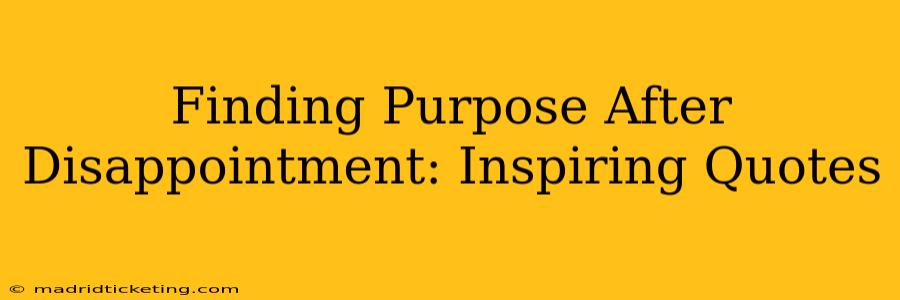 Finding Purpose After Disappointment: Inspiring Quotes
