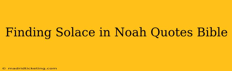 Finding Solace in Noah Quotes Bible