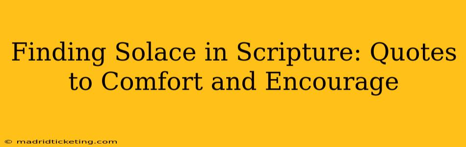 Finding Solace in Scripture: Quotes to Comfort and Encourage