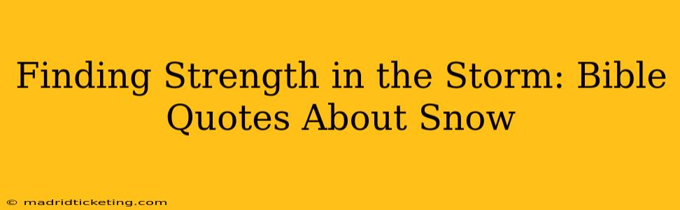 Finding Strength in the Storm: Bible Quotes About Snow