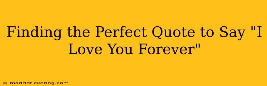 Finding the Perfect Quote to Say "I Love You Forever"
