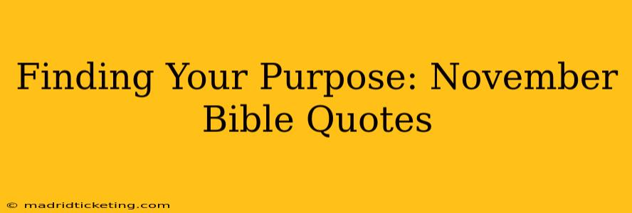 Finding Your Purpose: November Bible Quotes