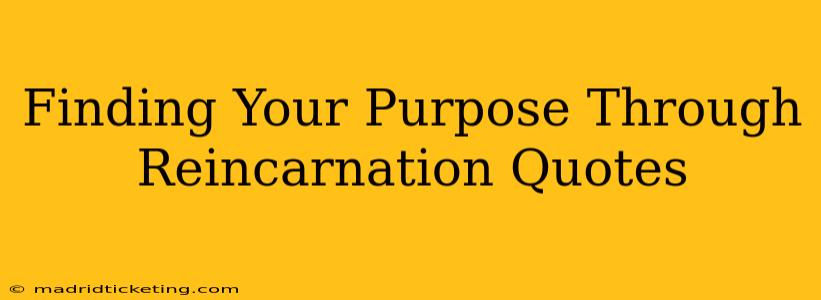 Finding Your Purpose Through Reincarnation Quotes