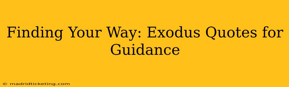 Finding Your Way: Exodus Quotes for Guidance