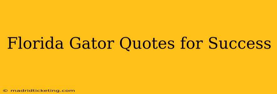 Florida Gator Quotes for Success