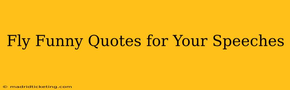 Fly Funny Quotes for Your Speeches