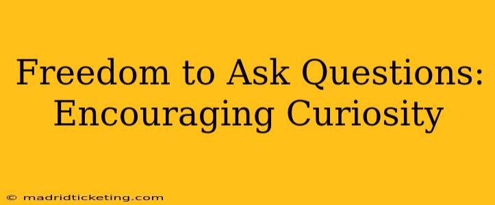 Freedom to Ask Questions: Encouraging Curiosity