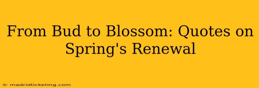 From Bud to Blossom: Quotes on Spring's Renewal