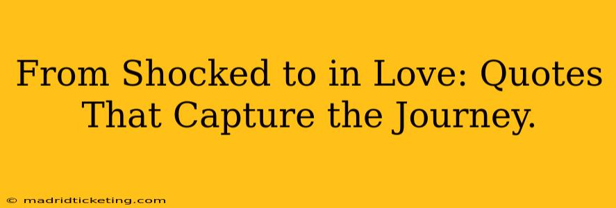 From Shocked to in Love: Quotes That Capture the Journey.