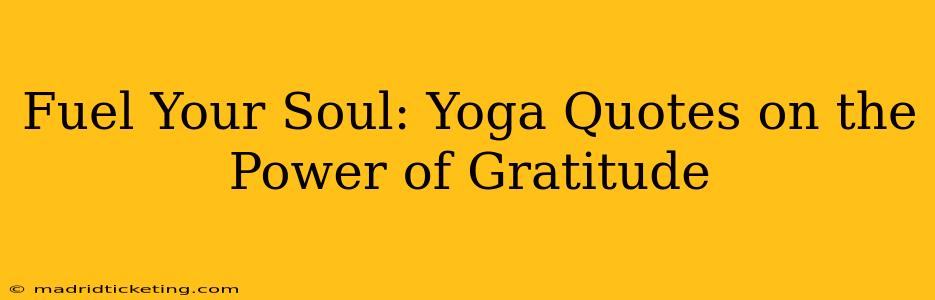 Fuel Your Soul: Yoga Quotes on the Power of Gratitude