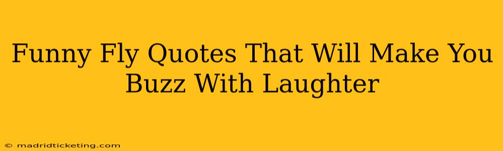 Funny Fly Quotes That Will Make You Buzz With Laughter