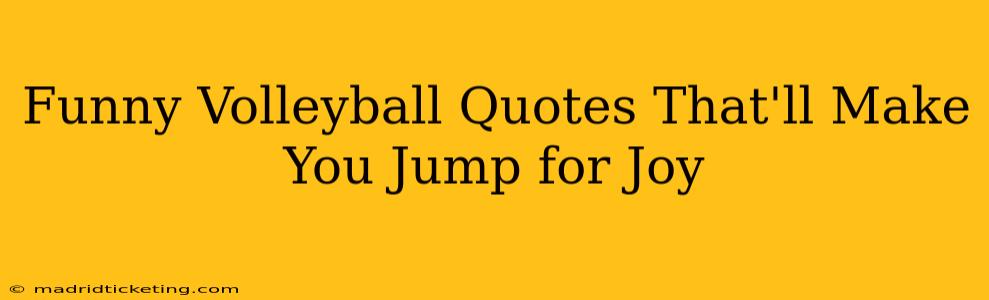 Funny Volleyball Quotes That'll Make You Jump for Joy