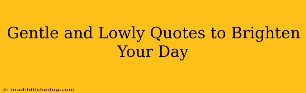 Gentle and Lowly Quotes to Brighten Your Day