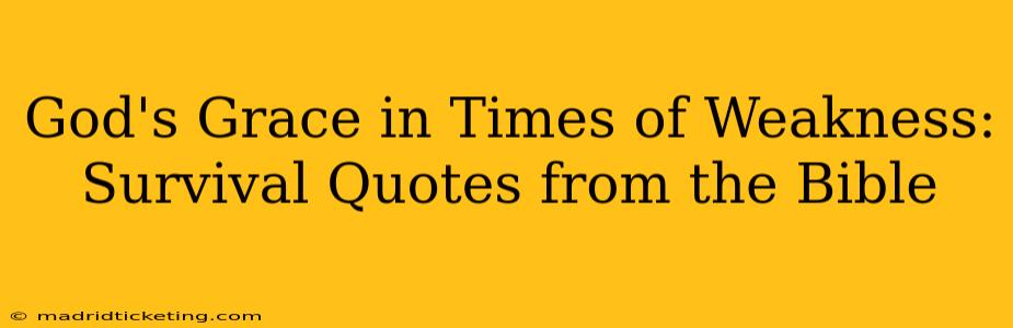 God's Grace in Times of Weakness: Survival Quotes from the Bible