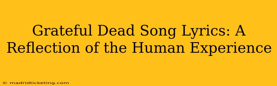 Grateful Dead Song Lyrics: A Reflection of the Human Experience