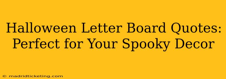 Halloween Letter Board Quotes: Perfect for Your Spooky Decor