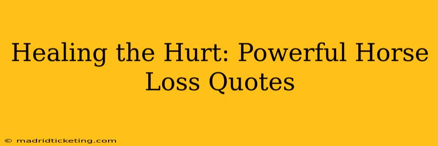 Healing the Hurt: Powerful Horse Loss Quotes