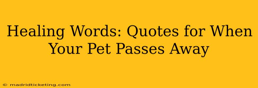 Healing Words: Quotes for When Your Pet Passes Away