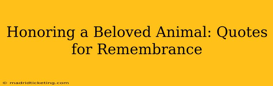 Honoring a Beloved Animal: Quotes for Remembrance